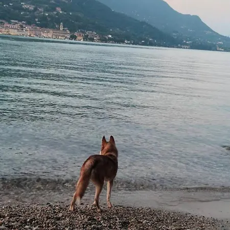 La Casa Di Perla Bilocale A 6 Kilometri Da Salo' Villanuova sul clisi